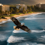 Eagle soaring over a coastal beach at sunset.